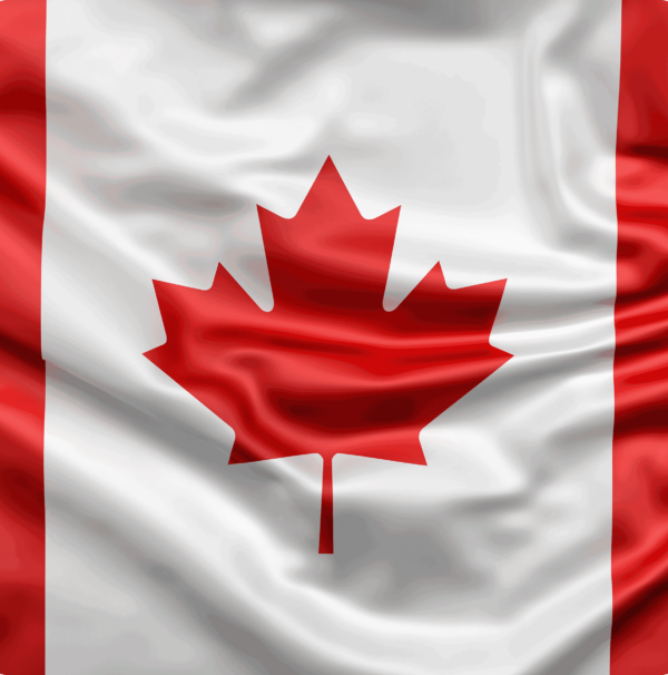 Alberta FGES Program: Fast Track Residency in Canada